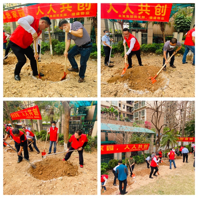 永发集团党支部开展“植绿护绿、美化环境”植树及公益便民党日活动